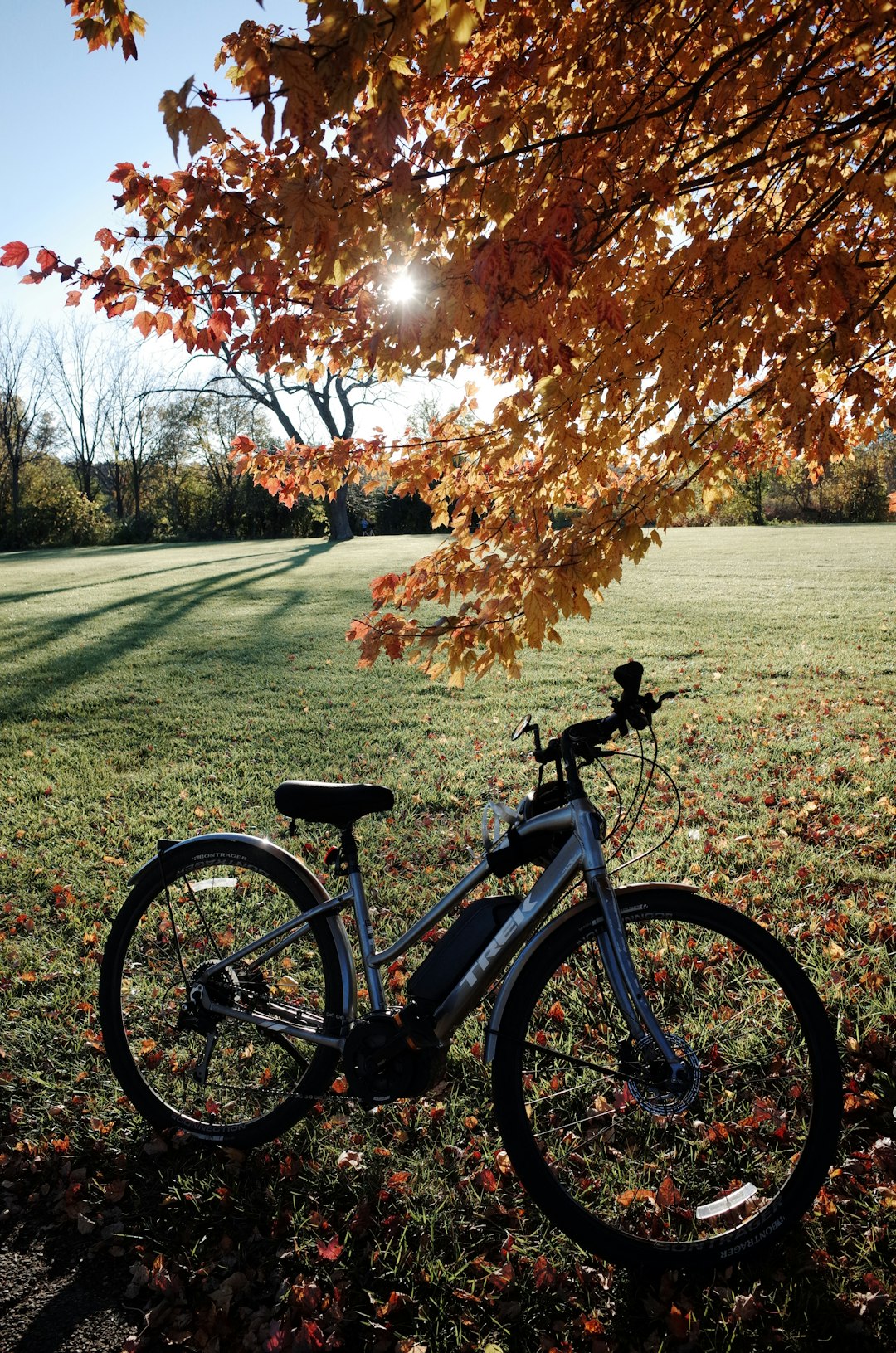 Nutrition for fitness